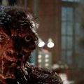 FOX is searching for a director for the remake of "The Fly"