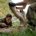 Take a look at "Annihilation", the new film from "Ex Machina"'s director