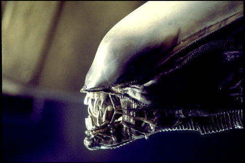 Ridley Scott is working on the next "Alien" movie... without Xenomorphs?