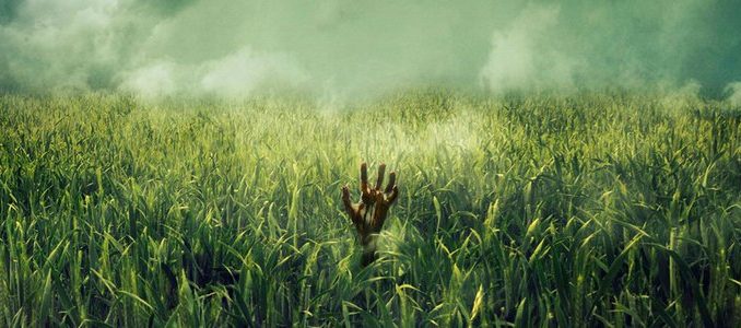 Vincenzo Natali will direct Netflix adaptation of "In the Tall Grass"