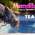 "Rubber"'s director Quentin Dupieux is back with "Mandibules"