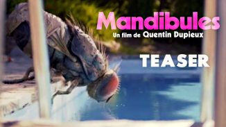 "Rubber"'s director Quentin Dupieux is back with "Mandibules"