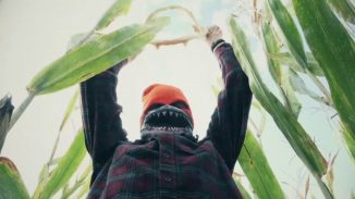 Victims of monsters in cornfields begin cropping up in "Sharks of the Corn"