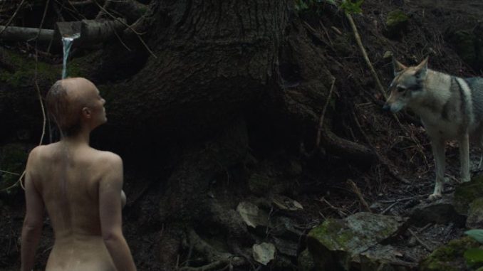 The folk-horror drama "Nightsiren" arrives in American cinemas this weekend